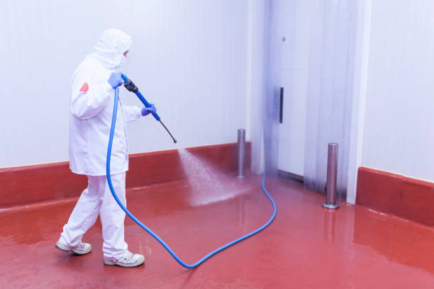  Glespie, IL Pressure Washing Pros