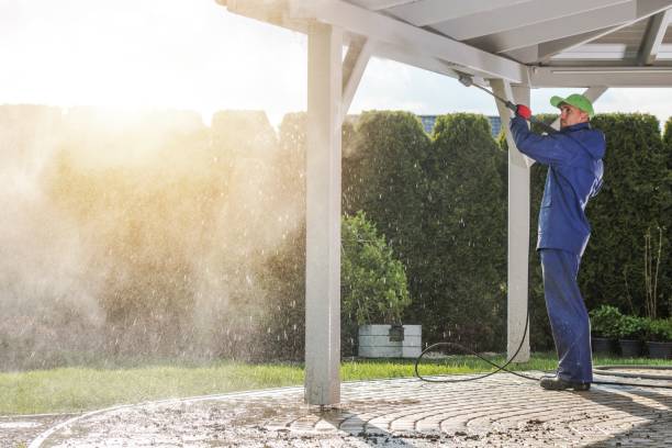Best Pre-Holiday Cleaning  in Glespie, IL